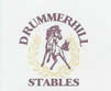 Drummerhill Stables logo